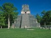 Il pipistrello nell’oroscopo Maya