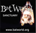 Bat World Sanctuary