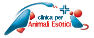 Clinica per Animali Esotici
