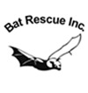 Visita il sito Bat Rescue