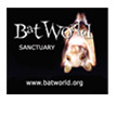 Visita il sito del Bat World Sanctuary