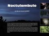 Noctulambule, un film-reportage sulla Nottola Gigante