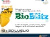 “Bio blitz Italia”. Il 19 luglio con i pipistrelli a Collepardo