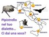 I pipistrelli nei dialetti italiani
