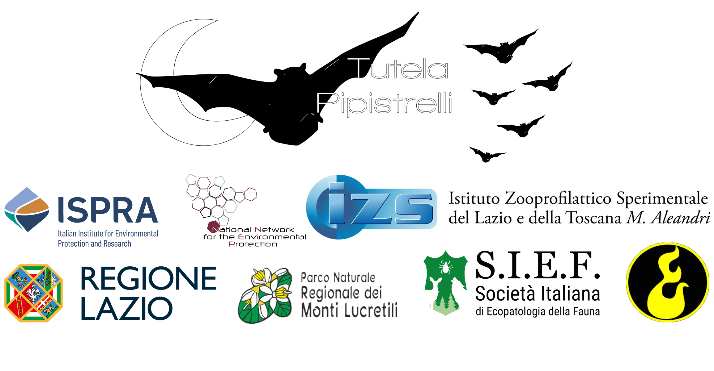 Protetto: WORKSHOP “Applicazione delle Linee guida per il recupero e la riabilitazione dei chirotteri”