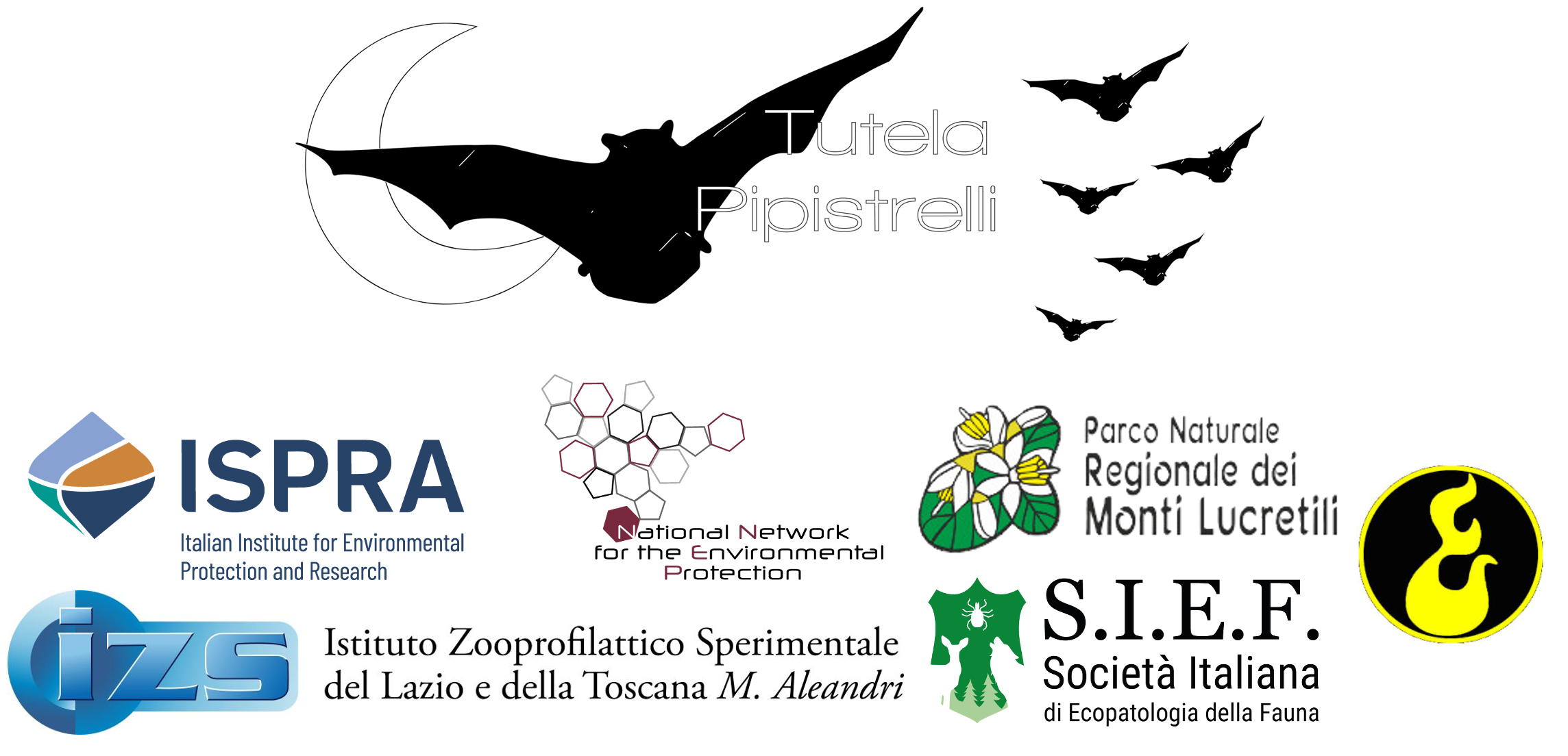 Protetto: WORKSHOP “Applicazione delle Linee guida per il recupero e la riabilitazione dei chirotteri”